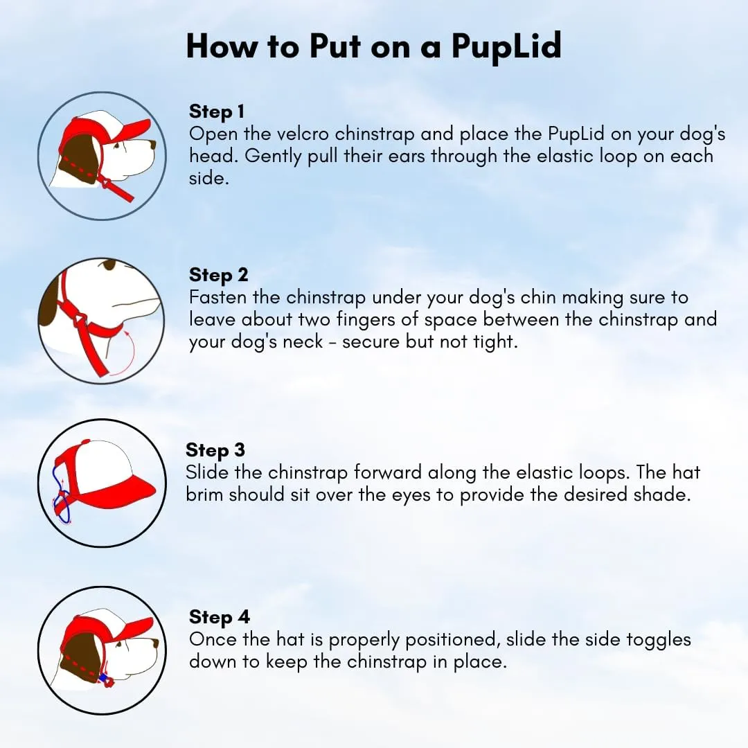 Sunset Collection, PupLid Trucker Hats for Dogs (XXS) Premium Stylish Sun Protection for The Modern Dog - Adjustable for Secure Comfortable Fit on Active Dogs (Black, Island Sunset)